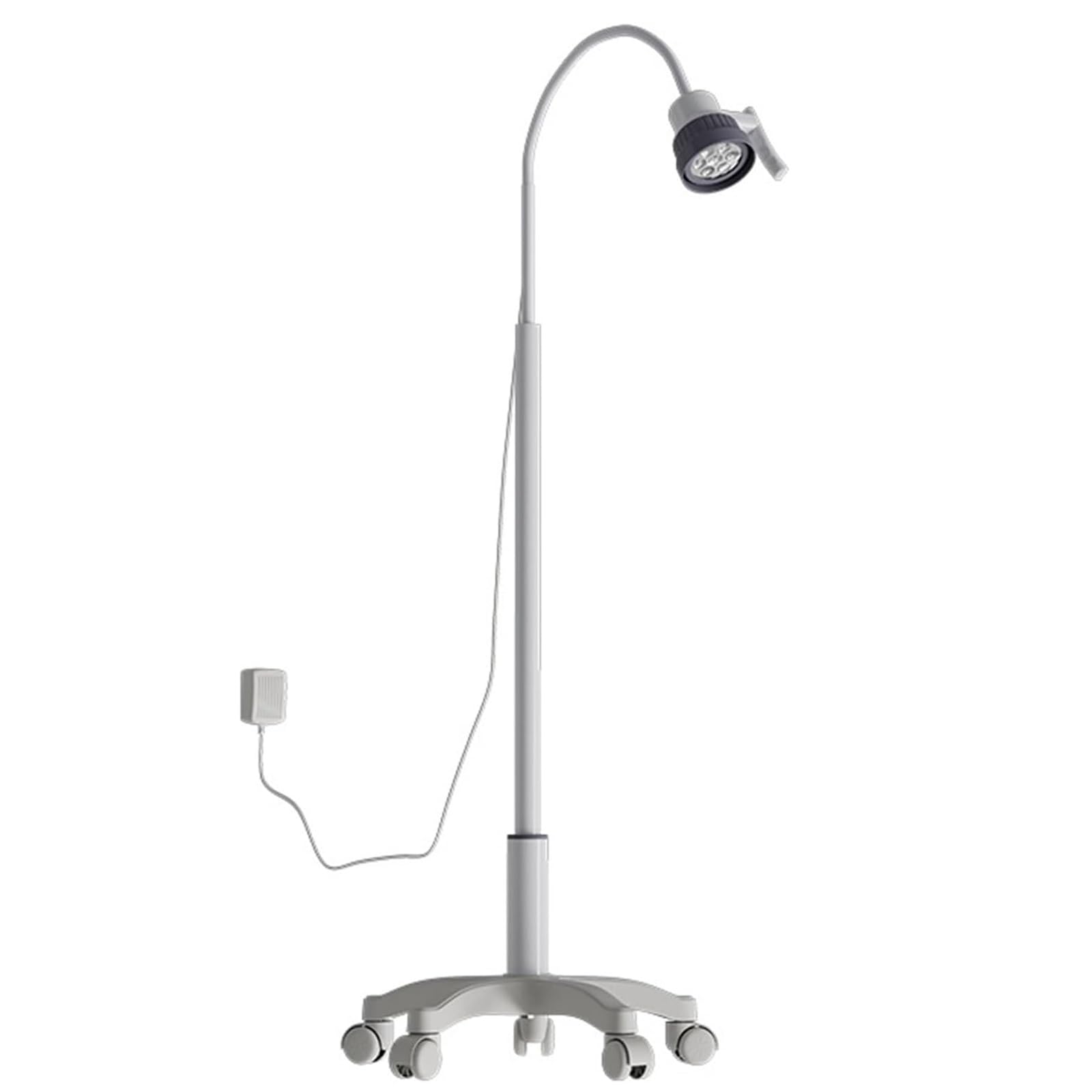 Dekoracyjne akcesoria do mieszkania, lampa LED do badań laboratoryjnych – mobilna lampa medyczna, wzór łabędzia szyja do medycyny dentystycznej i weterynaryjnej
