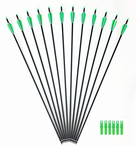 image for GPP Outdoors Carbon 30-Inch Arrows with Field Points Replaceable Tips 