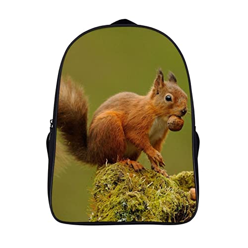 Sac à dos d'école écureuil unisexe 40x28x16cm pour enfants de primaire