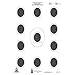 Official NRA Small Bore Rifle 50-Foot 4 Position Target (A-17) 100 pack