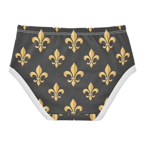 Gold Fleur De Lis Dark Gray Panties Little Girl Girls Underwear Toddlers Cotton Designer Briefs Undies Kids 2t2