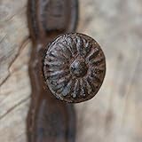 Zoom IMG-2 anticas pomello per cassetti in Zoom IMG-2 anticas pomello per cassetti in