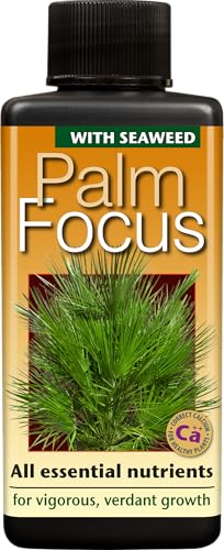 Palm Focus 100ml