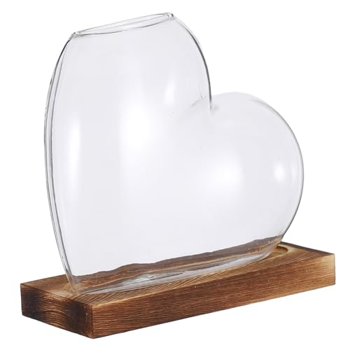 Abaodam in Vetro Forma con Base in Legno per Piante Idroponiche Stazione Propagazione Compatta per Decorazioni da Tavolo per e Davanzale