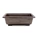 Rectangle Mica Bonsai Training Pot - Superior To Plastic - Won't break from freezing or dropping like clay, earthenware or ceramic (Exterior Dimensions: 12 1/2 x 9 x 4)