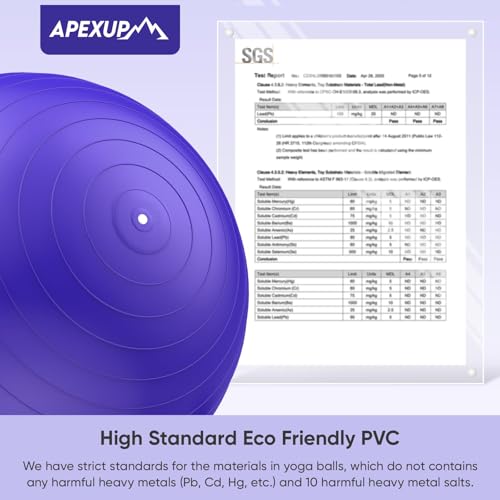Image of APEXUP Yoga Ball, 660 lbs Anti-Burst Exercise Ball with Pump, 5 Sizes | Anti-Burst, Anti-Slip, SGS Certified, Strengthens Core, Improves Balance & Posture, Boosts Flexibility & Stability