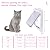 goTeamghjkl Cat Door Flap (Outer Size 9.9" x 9.2"), 4 Way Locking Large Cat Door for Interior Exterior Doors, Weatherproof Pet Door for Cats Doggie Kitties and Kittens with Circumference < 24.8"