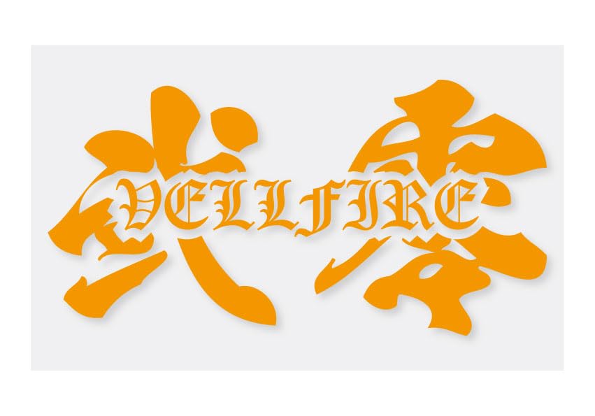 Amazon.co.jp: 20系 ANH20W ヴェルファイア 弐零 漢字 ステッカー