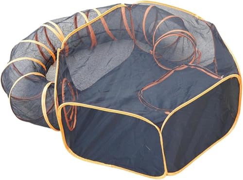 VinebeautifulLgl & L[u ^ybgp Bƃgl vCeg ϋv̂錢pgl vCeg L xr[T[N LpLgl qgl