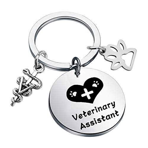 LQRI Veterinarian Assistant Gift Veterinary Assistant Key Chain Vet Tech Jewelry Veterinary Medicine Graduation Gift for Veterinary Assistant Veterinary Technician (sliver)