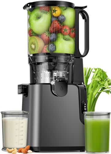 The Best Juicer Machines for Adults Over 50: Easy-to-Use Options for Daily Wellness in 2026 10 Juicer Machines with 5.8' Large Chute, 2-in-1 Cold Press Juicer for Whole Vegetables Fruits 400W, Masticating juicer Easy to Clean Juice Extractor Machine for Making Nut Mike, Juice, Premium Gray
