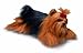 Russ Yomiko Grand Yorkshire Terrier De Peluche