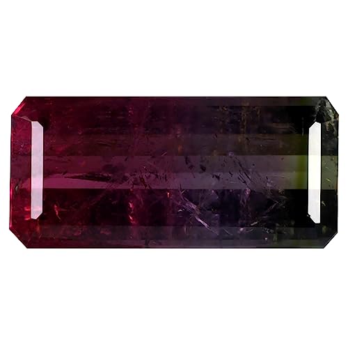 Tourmaline pastèque 15x7 mm pour création de joaillerie personnalisée