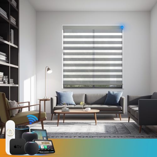 Blindify Motorized Zebra Blinds with Remote Light Filtering Automatic Smart Blinds for Windows...