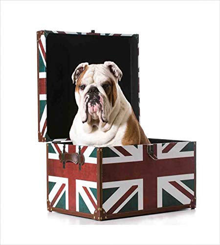 ABAKUHAUS Bulldog Inglese Set Copripiumino, Cane