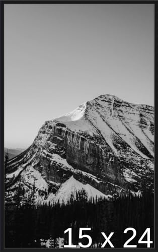 Frame It Easy 15 1/2 x 24 Satin Black Metal Frame (Ashford) 15.5x24 inches