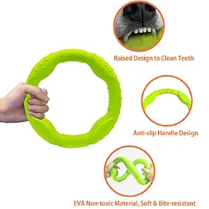 LaRoo Dog Flying Ring Toys, Floating Flying Dog Disc Toys, Summer Pet Training Outdoor Durable Chew Toys for Medium and Large dogs (Medium Green/22cm)
