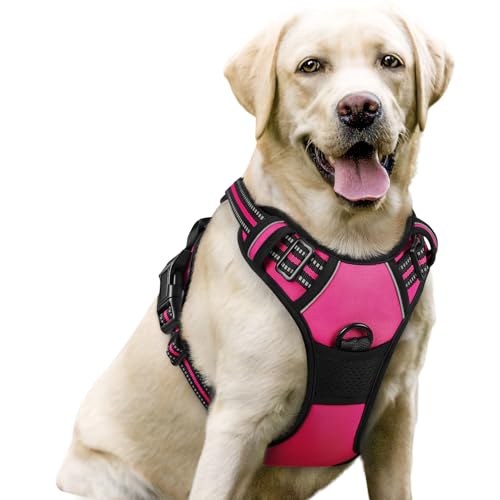 rabbitgoo Dog Harness No Pull with 2 Leash Clips, Adjustable Soft Padded, Reflective Oxford No Choke Pet Vest with Easy Control Handle for Large Dogs, Hot Pink, L