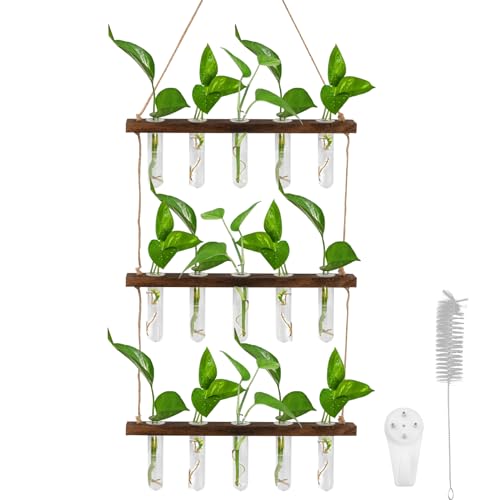 volumoon 3 Tiered Wall Hanging Test Tube Vase, 15 Tubes, Plant Terrarium with Wooden Stand