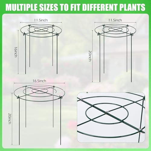 Peony Cages and Supports 8 Pack, 11.5 x 20 Inch Heavy Duty Plant Support Cage Set for Peonies, Roses & Tomatoes – Garden Stakes & Plant Cages for Outdoor Plants (8 Pack, 11.5 x 20 Inch) by YIBOBO - Image 3