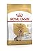 Produktbild Royal Canin Yorkshire Ageing 8+ - Dry Food for Older Dogs - 3kg