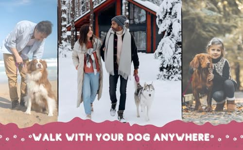 Loutep Trainingsleine für Hunde, 3 m, 5 m, 10 m, 15 m, 20 m, 25 m, 30 m, Starkes Nylonseil, extra Lange Leine, Hundeleine mit gepolstertem Griff für große, mittelgroße und kleine Welpen, Rückruf