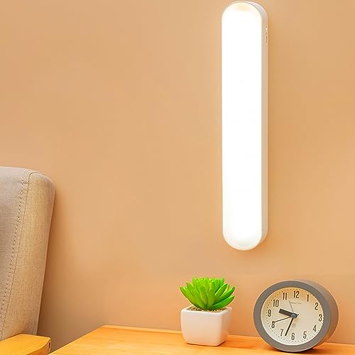 BR Lion Luminaria Led Recarregável Barra Usb Luminária Tubular Led Batten Quarto Cozinha Estudar Par