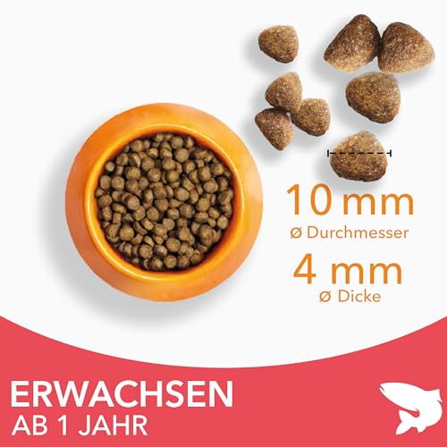 IAMS Katzenfutter trocken mit Lachs - Trockenfutter für Katzen im Alter von 1-6 Jahren, 3 kg