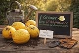 Découvrez nos kits à prix doux pour enrichir votre jardin sans vous ruiner.