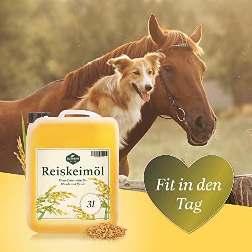Martenbrown® Reiskeimöl 3 Liter für Pferde, Hunde und Esel I Im praktischen Kanister | Nahrungsergänzung für Trockenfutter, Dosenfutter oder als Barf-Öl