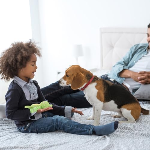 AKONE Hundespielzeug: Kauspielzeug, Quietschend, Interaktives Plüschspielzeug für Kleine und Mittlere Hunde - Froschform Kauseilspielzeug