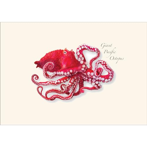 Image of Earth Sky + Water - Giant Pacific Octopus Notecard Set - 8 Blank Cards with Envelopes