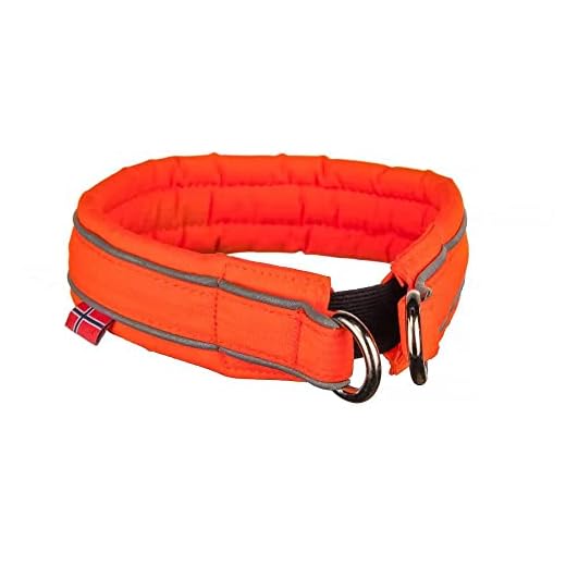 Kaka Mall Hundehalsband Verstellbare Nylon Hunde Halsband Atmungsaktives 3M Reflektierend Halsband (S,Orange) 3 Safe 35