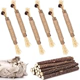 FYSL Palos Masticables para Gato, 21 Piezas Hierba Gatera, Juguetes Catnip de Limpieza de Dientes
