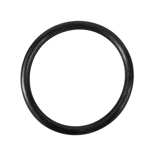 Replacement O-Ring for Summer Waves SFS1500 & SFS1000 Filter Systems