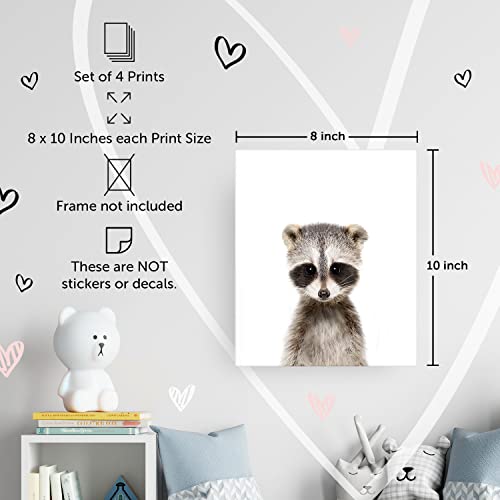 Designs by Maria Inc. Set of 6 UNFRAMED Woodland Nursery Decor Animal Posters | Zoo Theme Baby Room Decorations | Safari Nursery Animal Canvas Wall Art | Baby Animals Prints Nursery Decor Set (8"x10") - Image 3