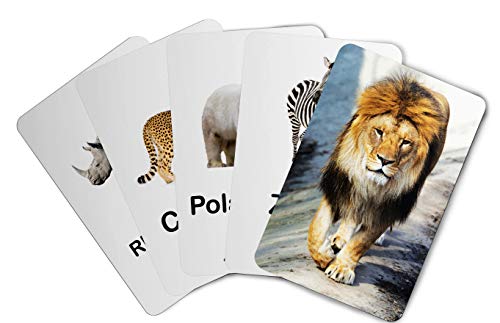 Image of ZiGYASAW Wild Animals Flash Cards for Kids Early Learning I 20 Real Images for Babies I Easy & Fun Way of Learning | Wipe and Clean Study Material for Preschoolers (105 x 170 mm) - Age 3+ Years