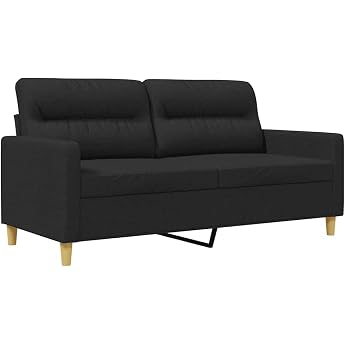 vidaXL Sofa 2-Seater Lounge Sofa Couch with Armrests Back Cushion Living Room Sofa Design Sofa Metal Frame Seating Furniture Two Seater Modern Black Fabric