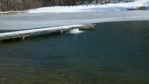 Ice Eater P750/050 - .75 Horse Power 115V 50 Feet Power Cord - No Assembly Required | Pond De Icer | Dock Bubbler Deicer | Marina De–Icer | Pond Aerator | Bearon Aquatics #TOP5