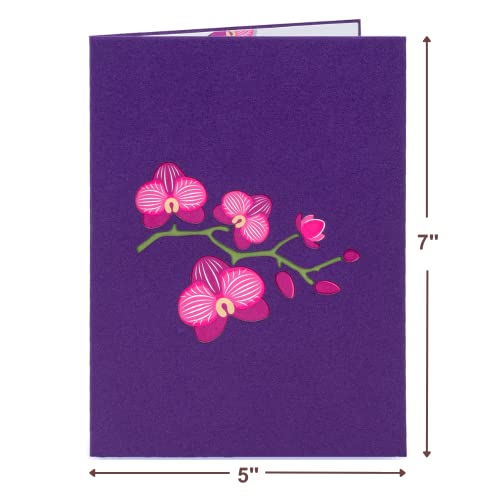 Paper Love 3D Pop Up Mother's Day Card, Orchids,Gift for Mothers Day, Birthday, Wedding, Anniversary, Thank You, Get Well, All Occasion - 5" x 7" Cover - Includes Envelope and Note Tag - Thumbnail 2