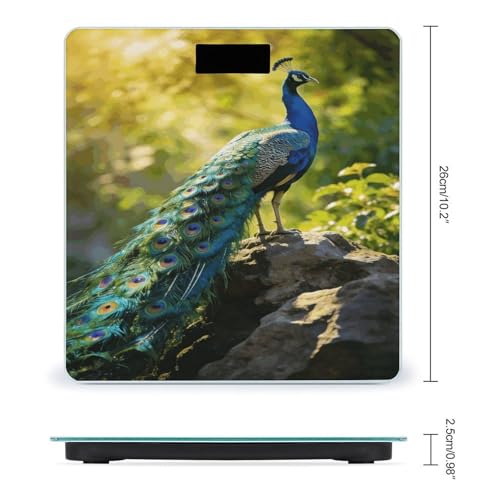 Báscula digital de baño con plataforma vidrio templado 10x10 in miniatura 2