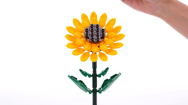 Amazon.com: MAX Premium Flowers Building Bricks Collection (up to