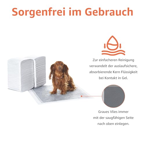 Amazon Basics Trainingspads für Hunde und Welpen mit Kohlenstoff zur Geruchskontrolle, auslaufsicheres Design mit schnell trocknender Oberfläche, Normal (120 Stück), Grau
