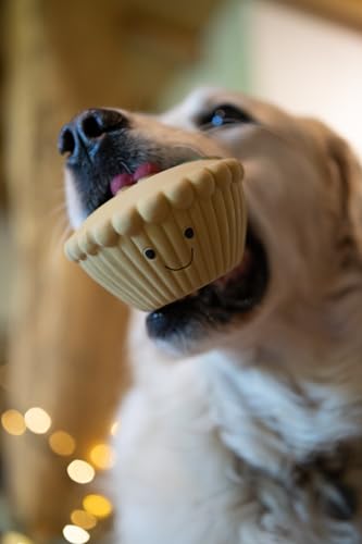 Petface Misha Mince Pie Hundespielzeug aus Latex mit integriertem Quietscher