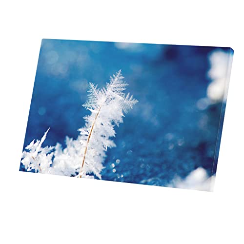 Tableau givre et flocon poster de neige en toile imprimée format grand 90x60 cm