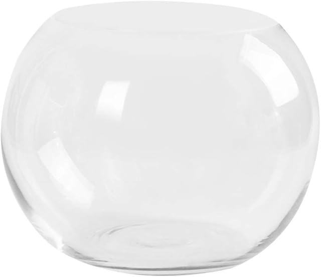 HEMOTON Clear Glass Vase Bubble Fish Bowl Hydroponics Plant Holder Transparent Glass Vase Flower Vase Desktop Fish Tank Ornament for Home Office Hotel Wedding Decoration (15CM)