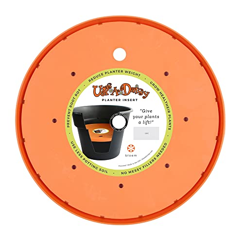 Bloem T6321-6 Ups-A-Daisy Round Planter Lift Insert, 11", Orange #1