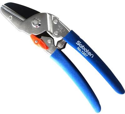 Amazon Co Jp サボテン サボテン アンビル型剪定鋏 楽 楽 5mm No 1257h Eh Diy 工具 ガーデン Amazon Co Jp サボテン サボテン アンビル型剪定鋏 楽 楽 5mm No 1257h Eh Diy 工具 ガーデン