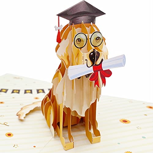 Liif 2023 Graduation Dog 3D Greeting Pop Up Graduation Card - Funny, Congratulations, Grad Announcement, Class Of 2023 - For College, High School, Son, Daughter, Phd, Master #TOP3