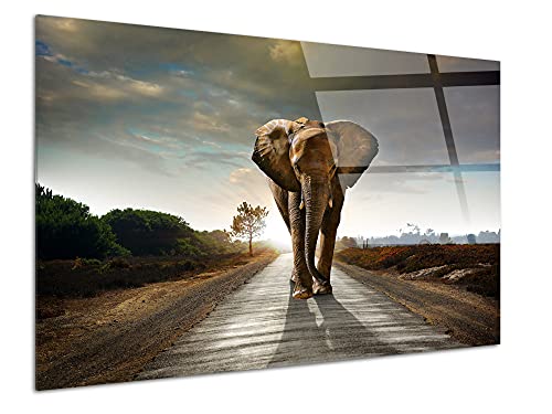 DECLINA Quadro in vetro acrilico decorativo Elefante, vetro acrilico, stampa su plexiglass, 80x50 cm